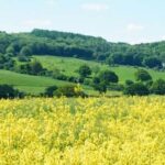 article Natural Capital 630x350 1 - Club of Amsterdam